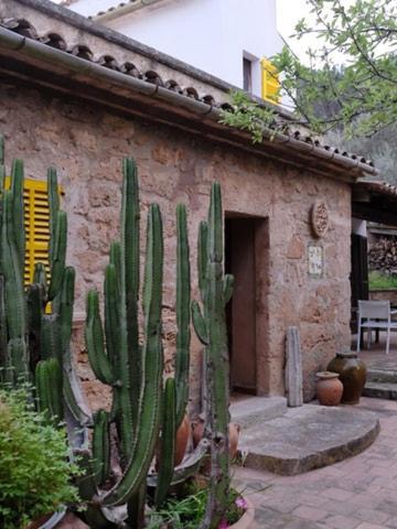 Hostal Catalina Vera Пуерто де Андрач Екстериор снимка